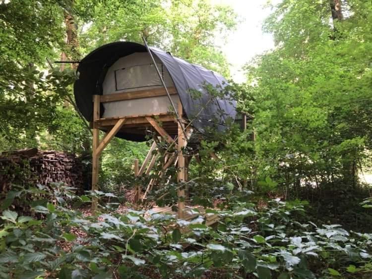 Camping Le Canada-Insolite Chiny Eksteriør bilde